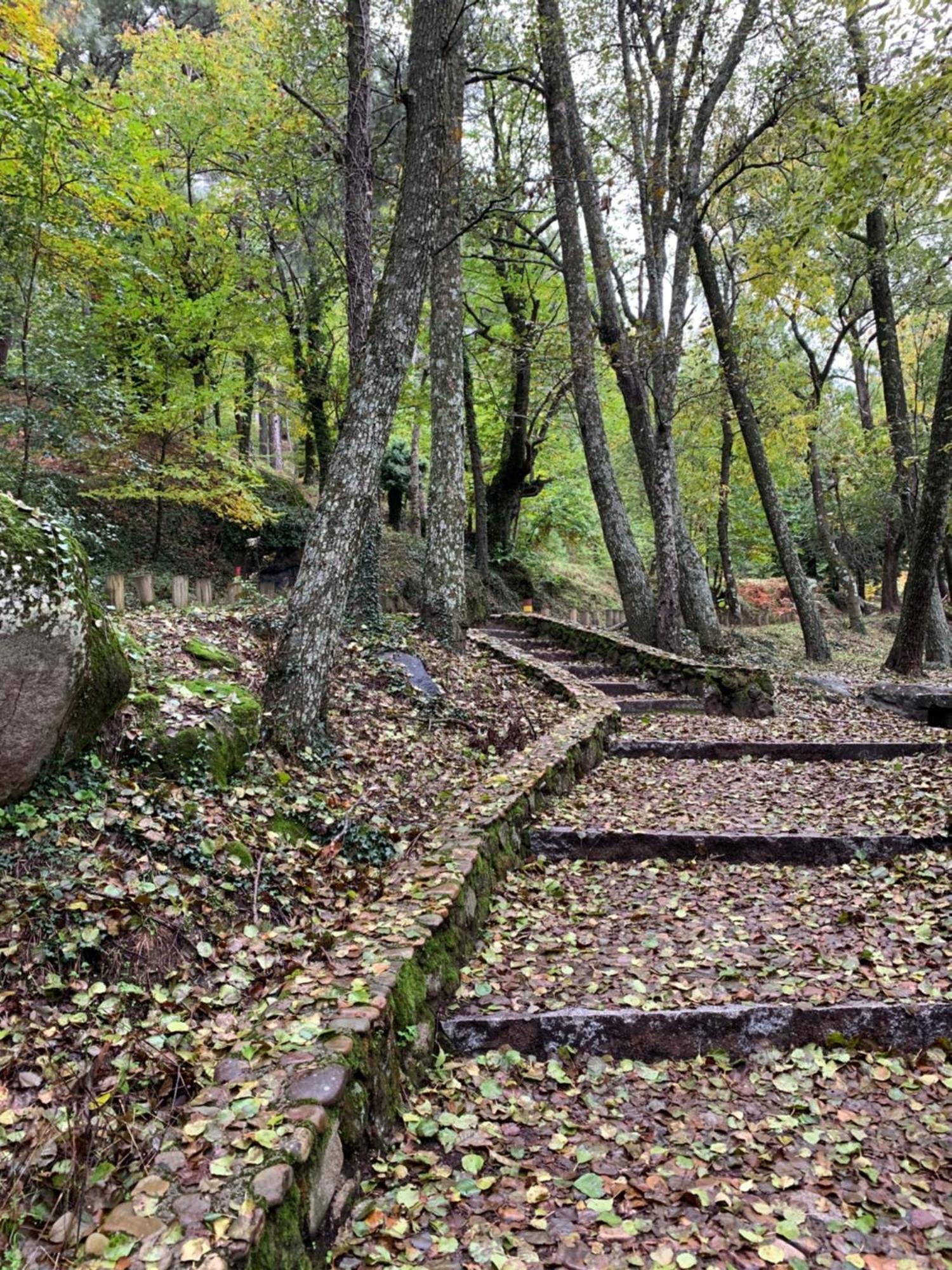 El Refugio De Felix Villa Sotillo de la Adrada Exterior photo